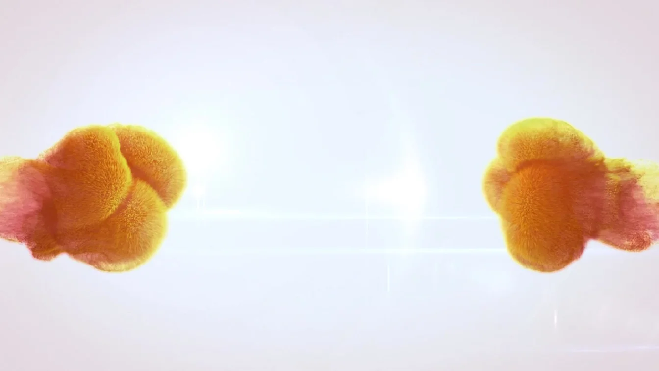 WetAndPissy Abby Try Hard XXX